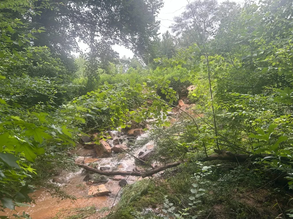 0 Gainestown Road Jackson AL 36545