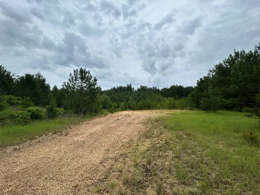 0 Gainestown Road Jackson AL 36545