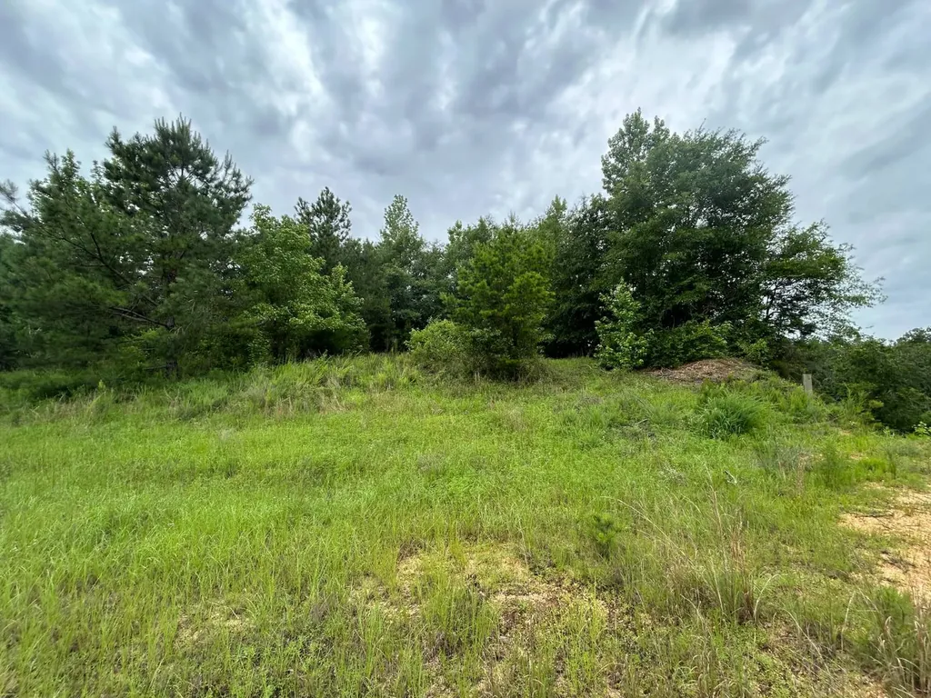 0 Gainestown Road Jackson AL 36545