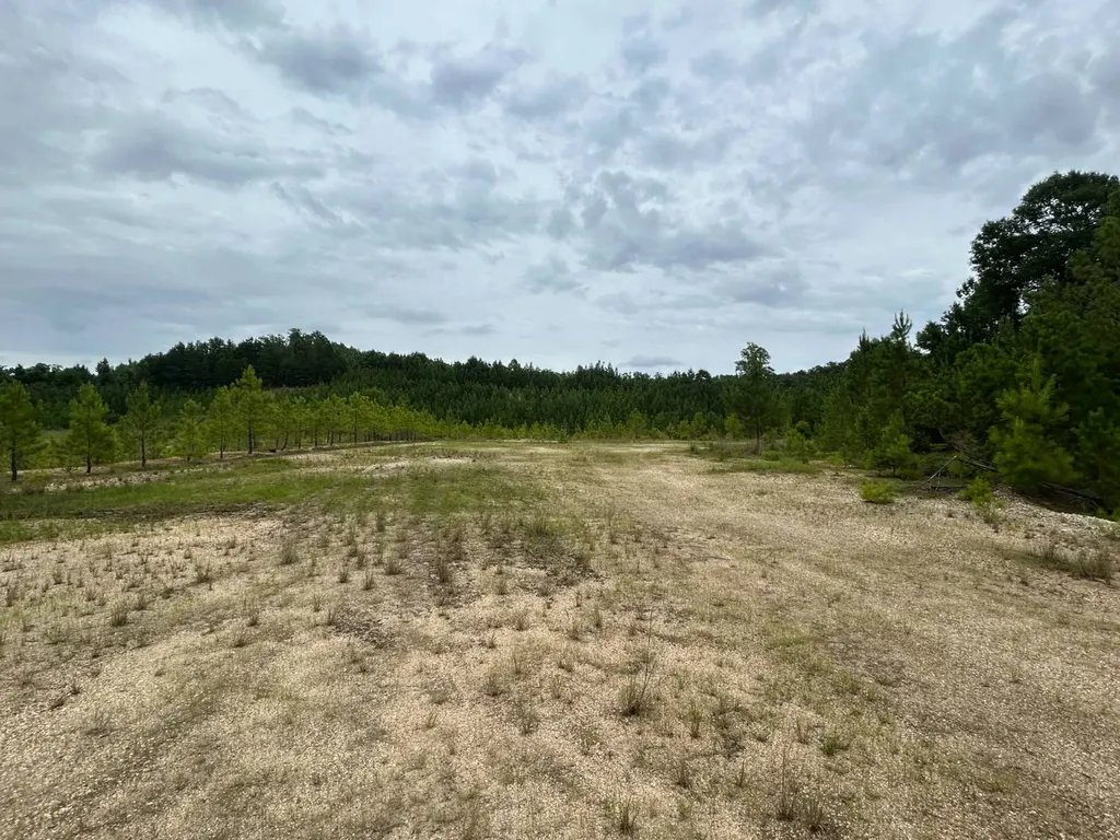 0 Gainestown Road Jackson AL 36545