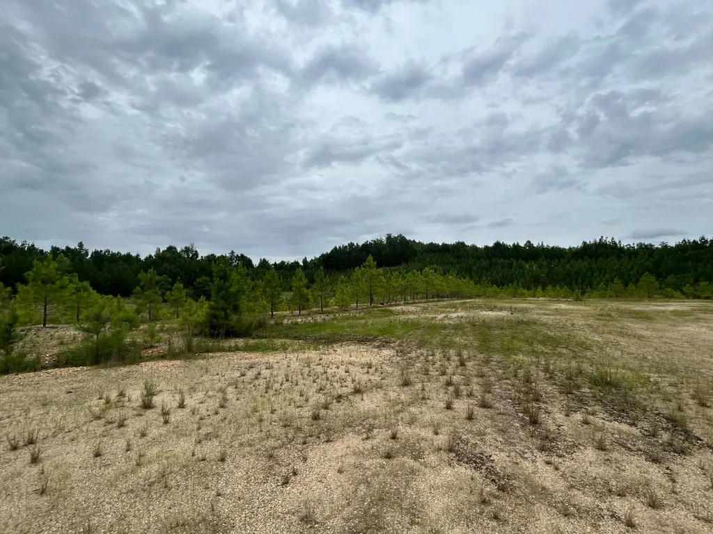 0 Gainestown Road Jackson AL 36545