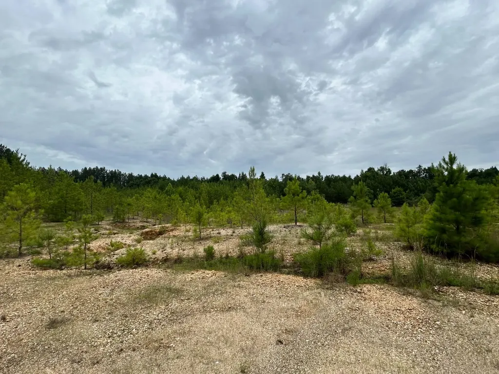 0 Gainestown Road Jackson AL 36545