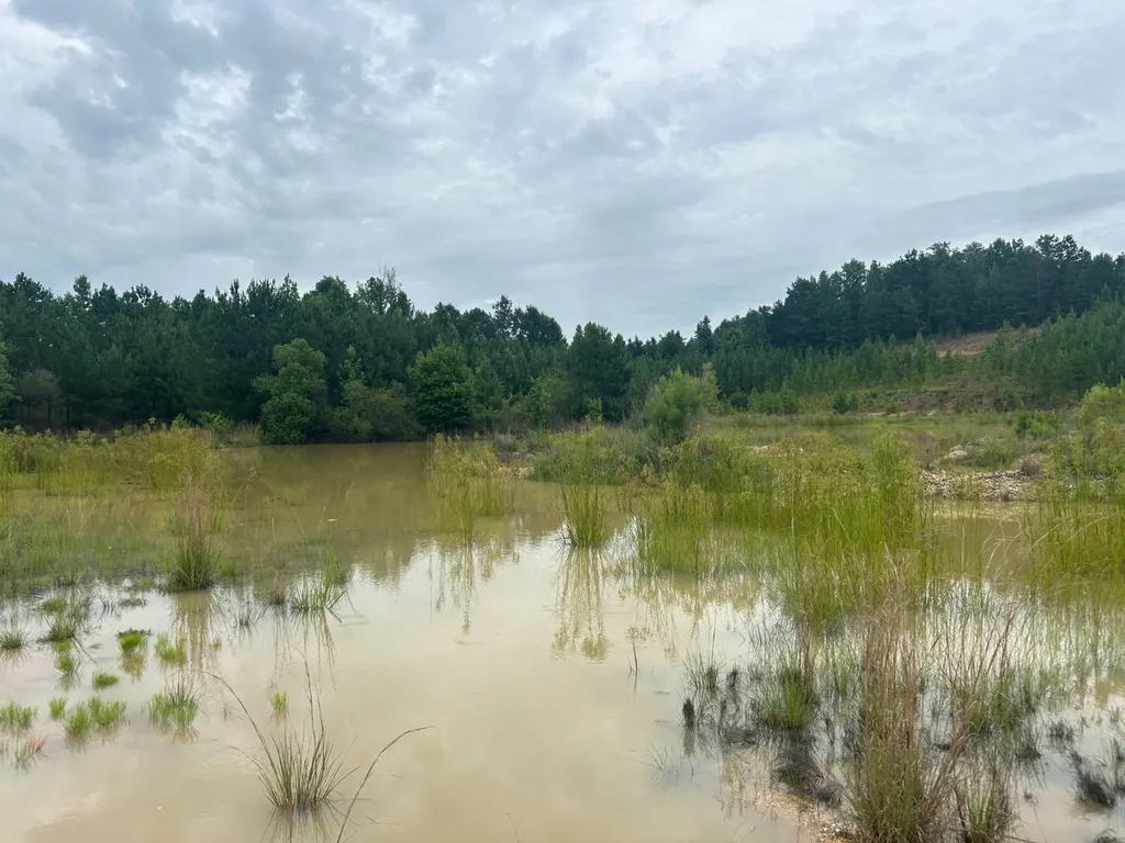 0 Gainestown Road Jackson AL 36545