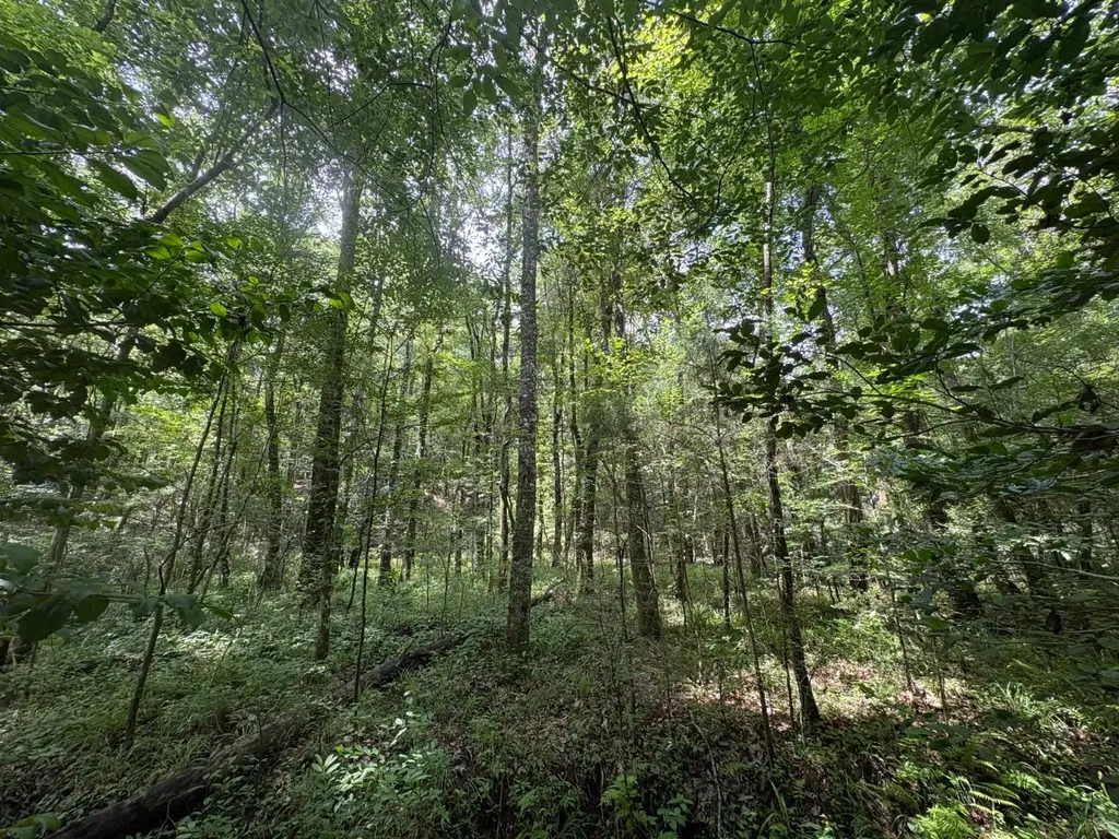 0 Gainestown Road Jackson AL 36545