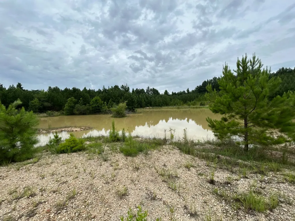 0 Gainestown Road Jackson AL 36545