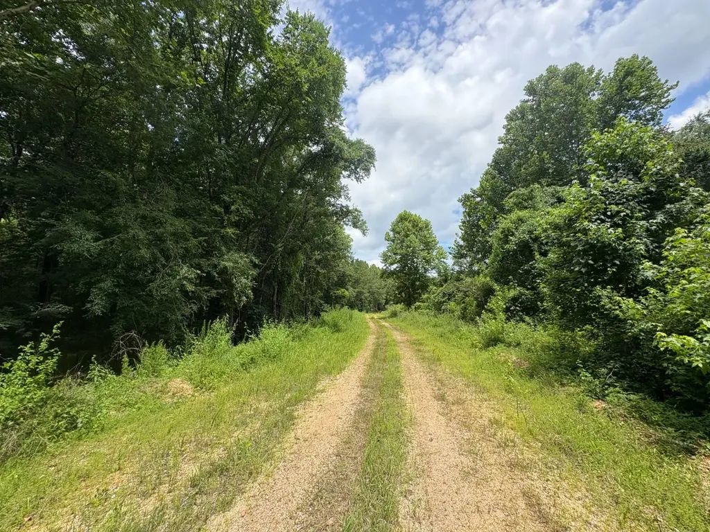 0 Gainestown Road Jackson AL 36545