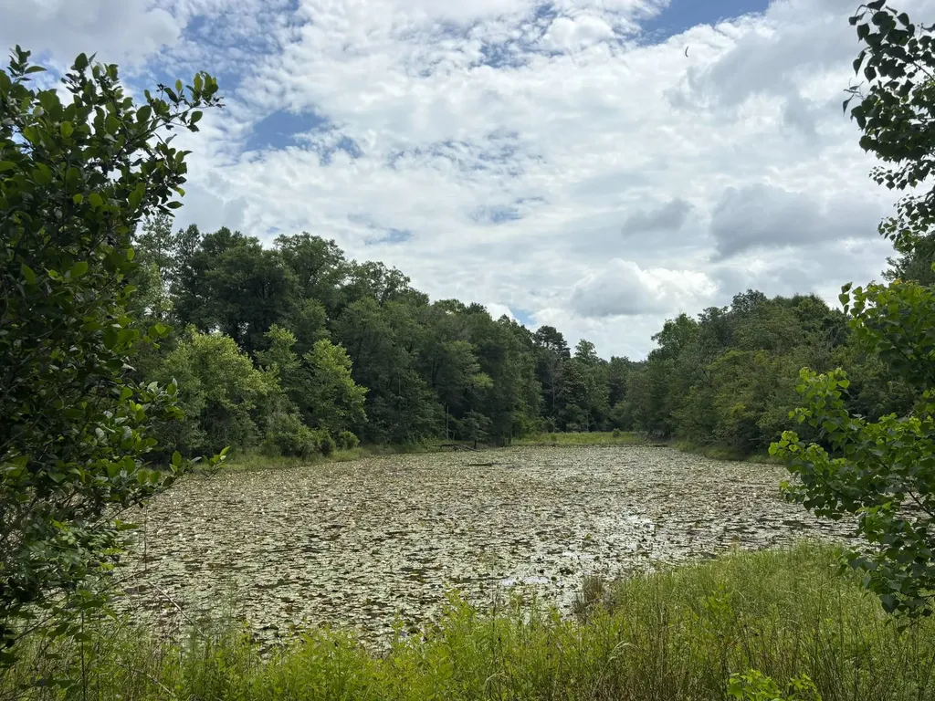 0 Gainestown Road Jackson AL 36545