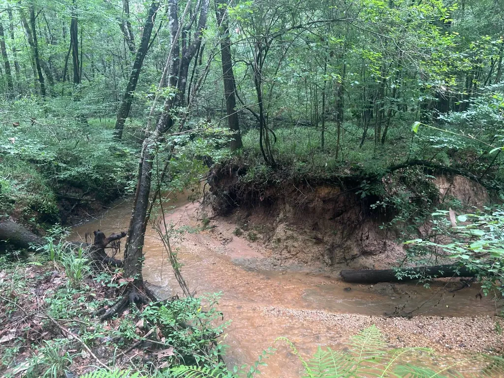 0 Gainestown Road Jackson AL 36545