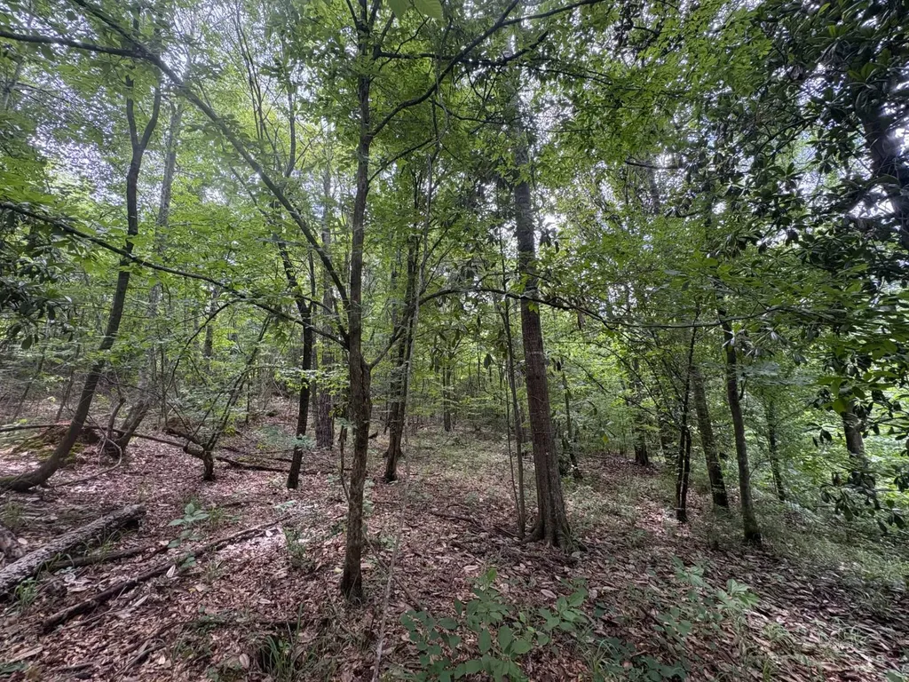 0 Gainestown Road Jackson AL 36545