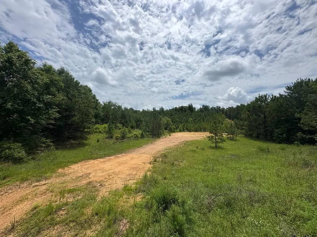 0 Gainestown Road Jackson AL 36545