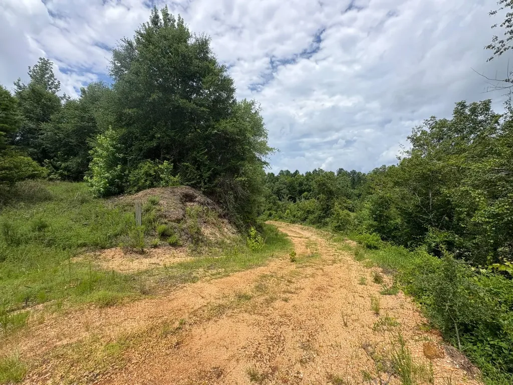 0 Gainestown Road Jackson AL 36545