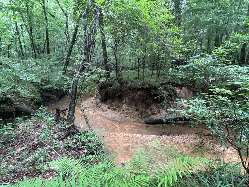 0 Gainestown Road Jackson AL 36545