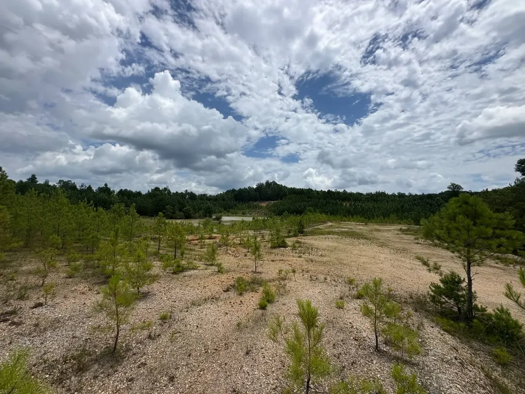 0 Gainestown Road Jackson AL 36545