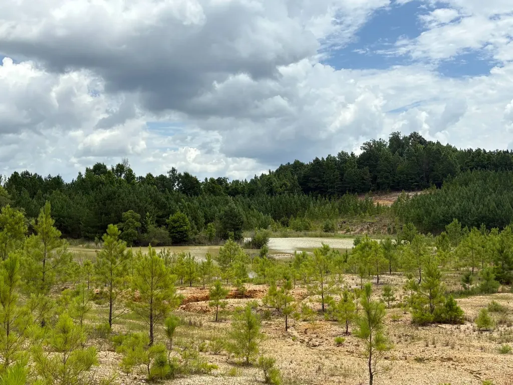 0 Gainestown Road Jackson AL 36545