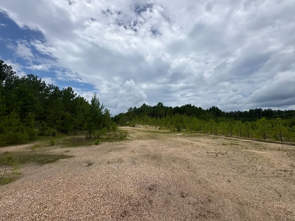 0 Gainestown Road Jackson AL 36545
