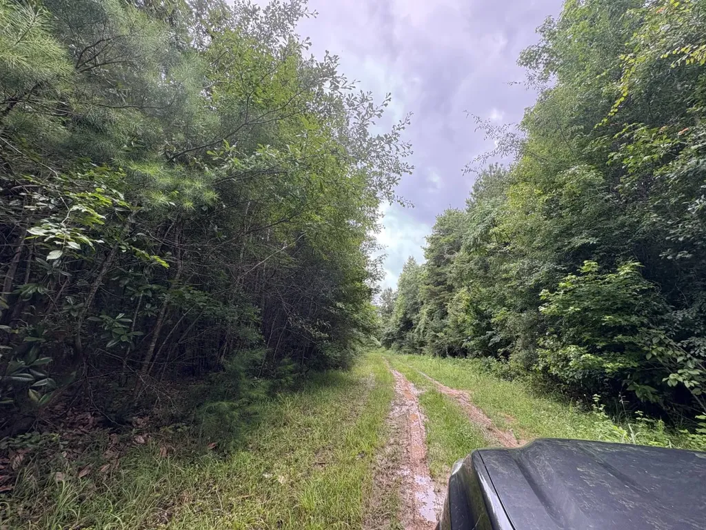 0 Gainestown Road Jackson AL 36545