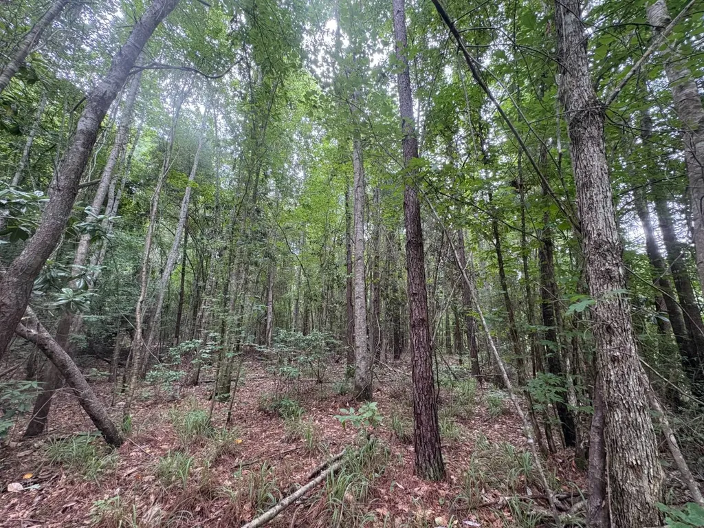 0 Gainestown Road Jackson AL 36545