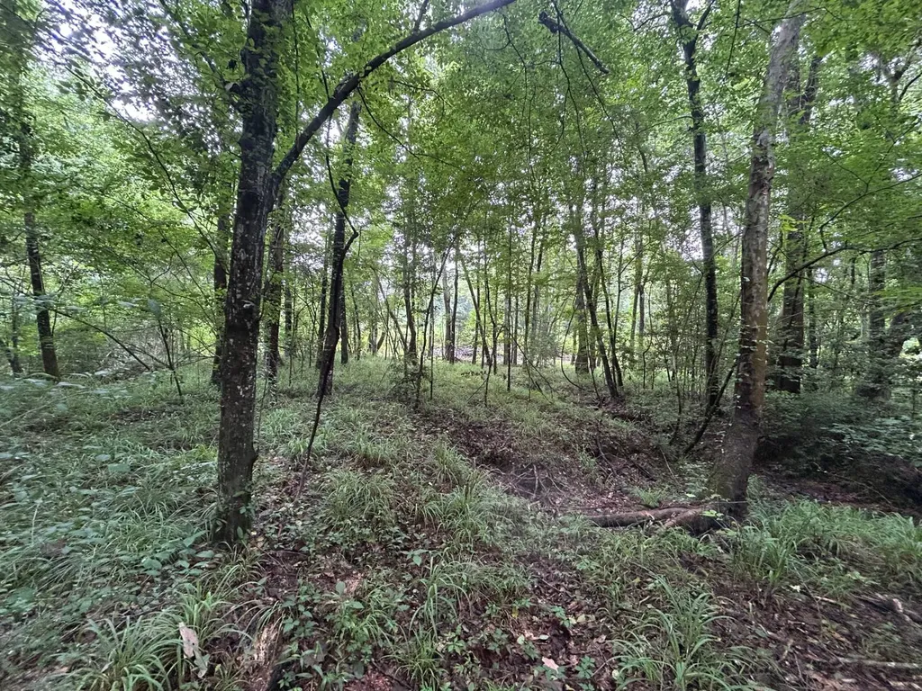 0 Gainestown Road Jackson AL 36545