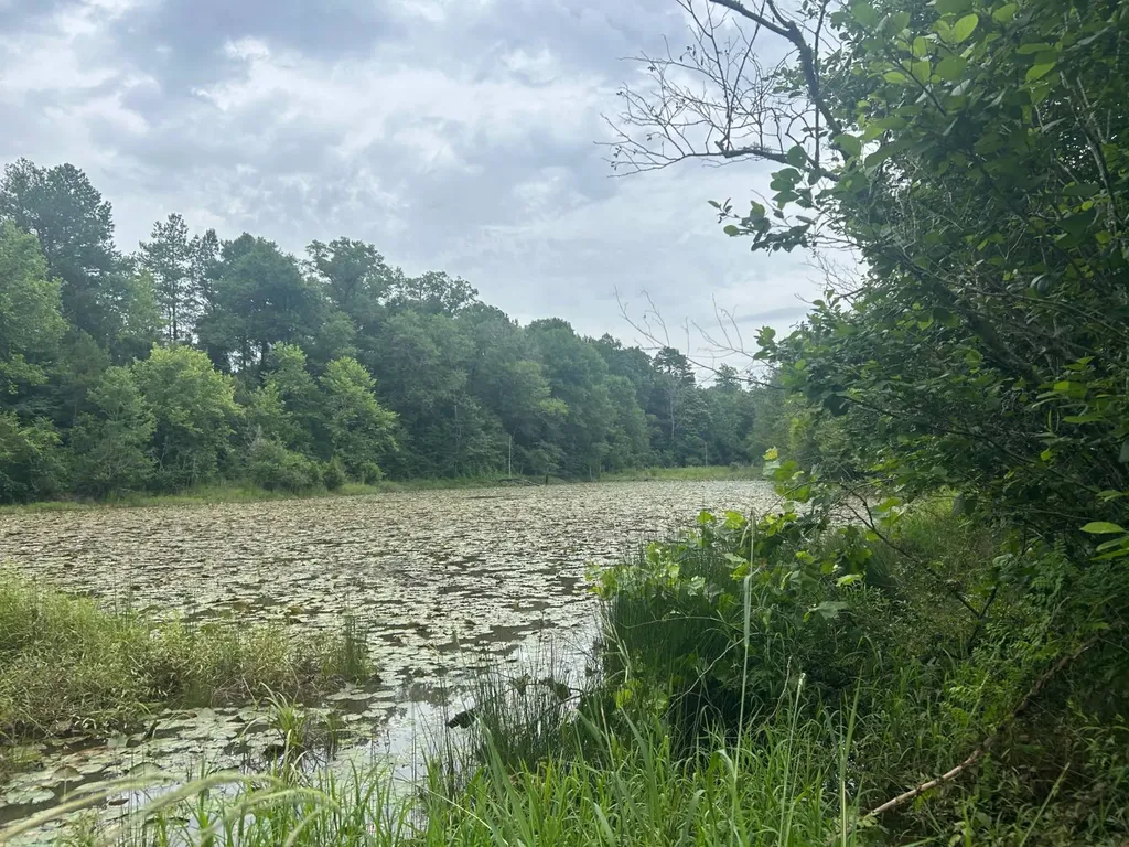 0 Gainestown Road Jackson AL 36545