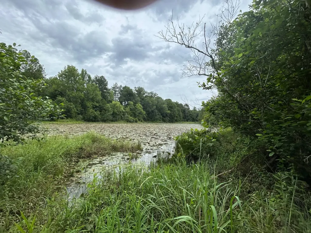 0 Gainestown Road Jackson AL 36545