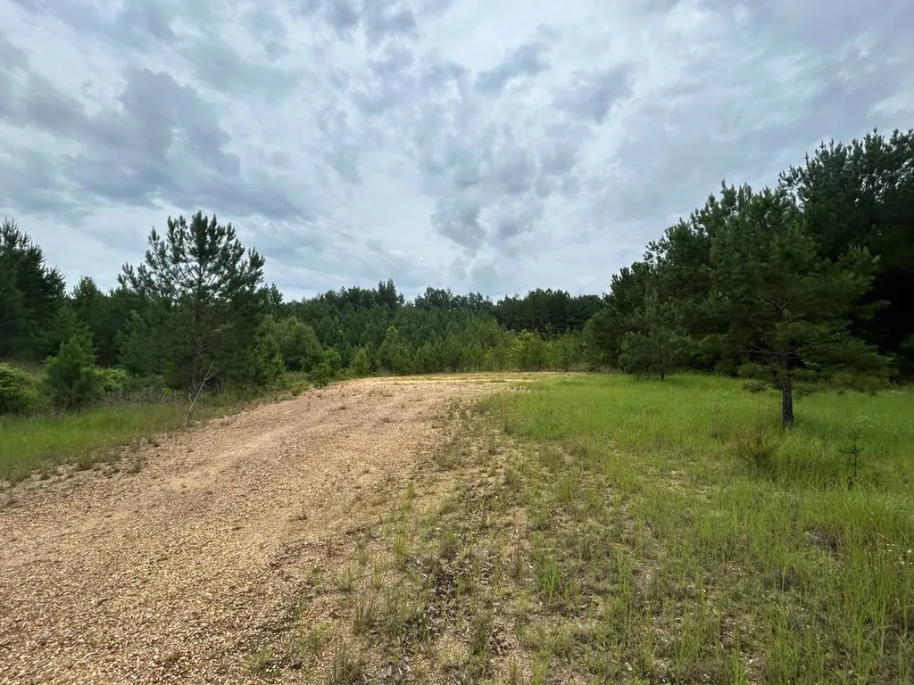 0 Gainestown Road Jackson AL 36545