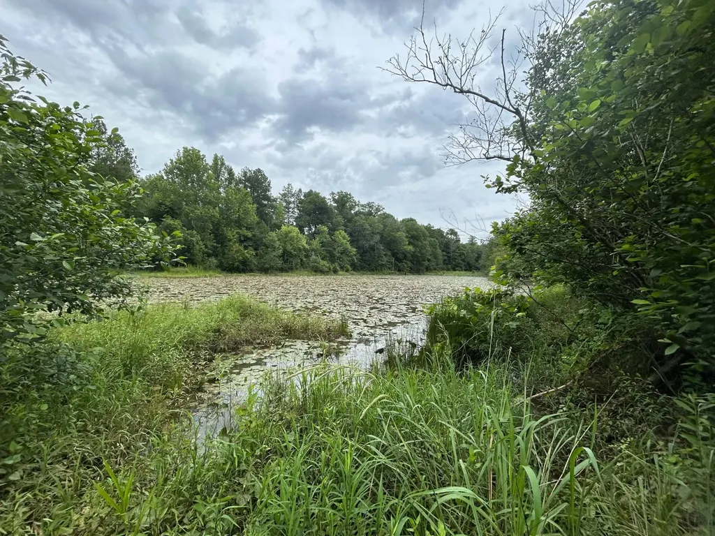 0 Gainestown Road Jackson AL 36545