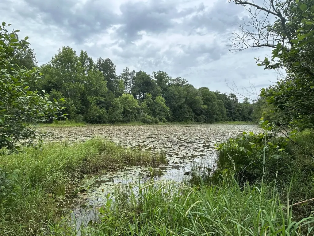 0 Gainestown Road Jackson AL 36545