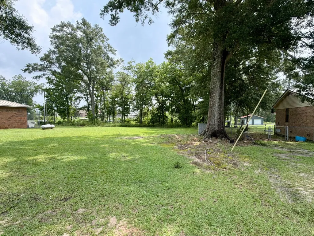 13207 County Road 1 Fruitdale AL 36539