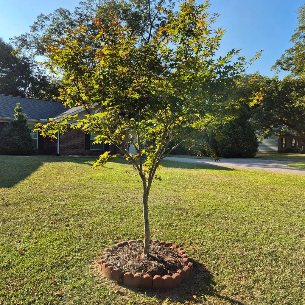 104 Marley Mitchell Lane Evergreen AL 36401