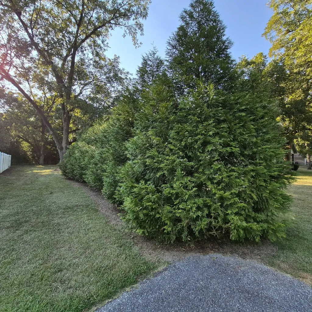 104 Marley Mitchell Lane Evergreen AL 36401