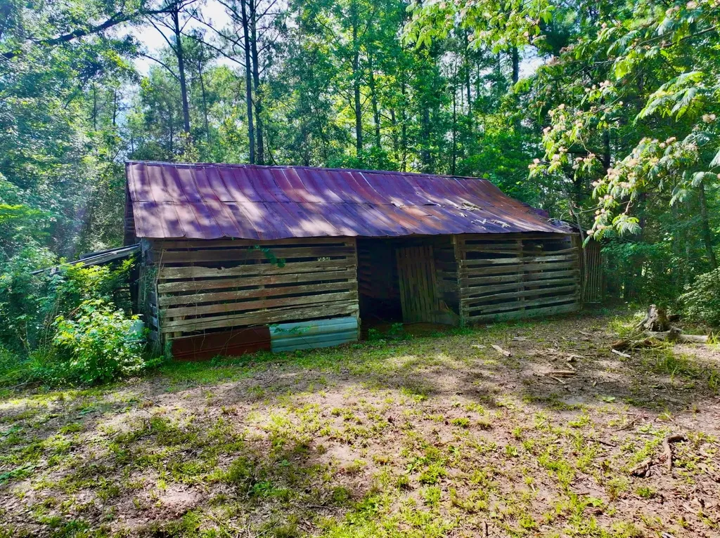 4534 Center Point Road Coffeeville AL 36524