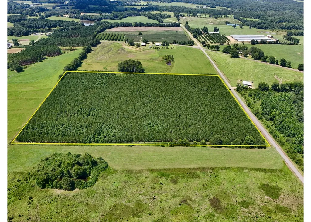 0 Edgefield Road Clayton AL 36016