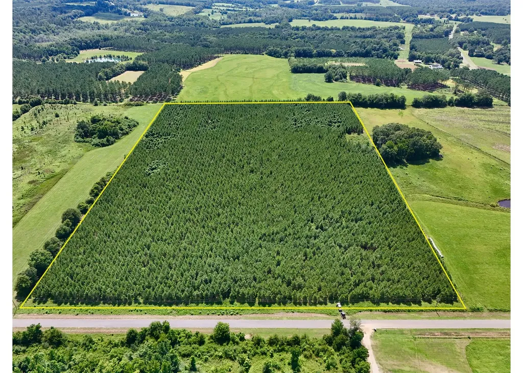 0 Edgefield Road Clayton AL 36016
