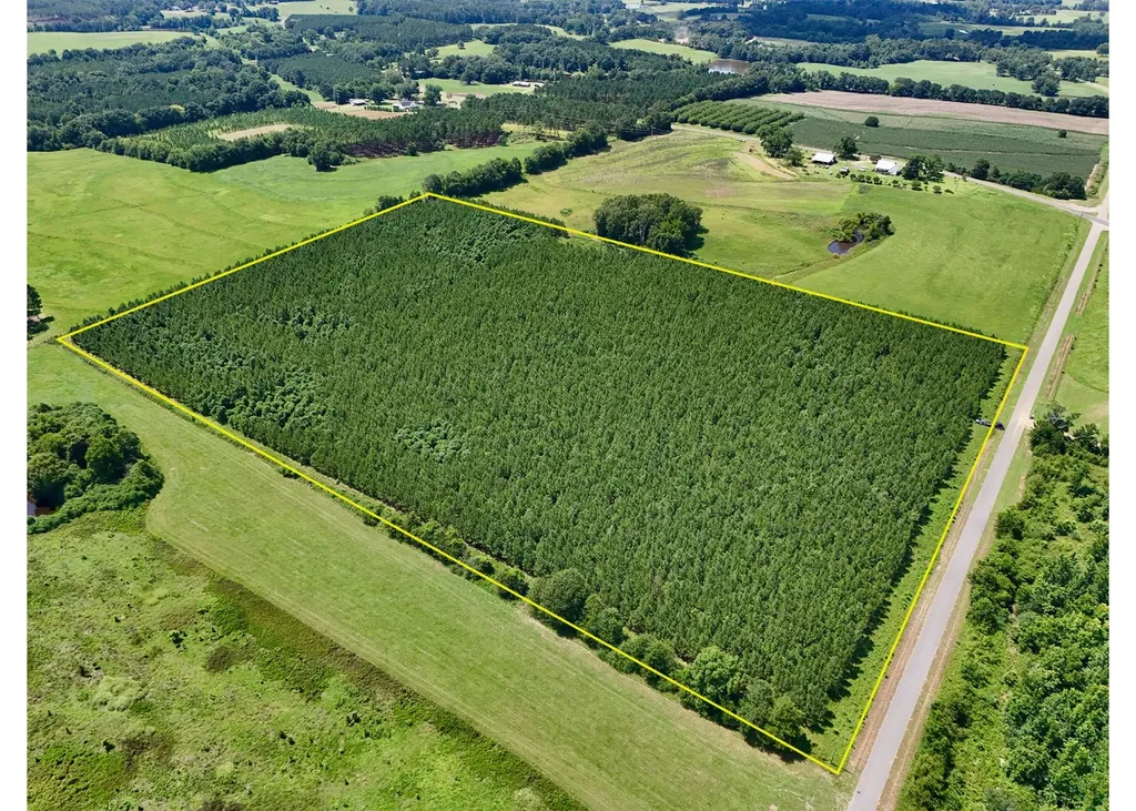 0 Edgefield Road Clayton AL 36016