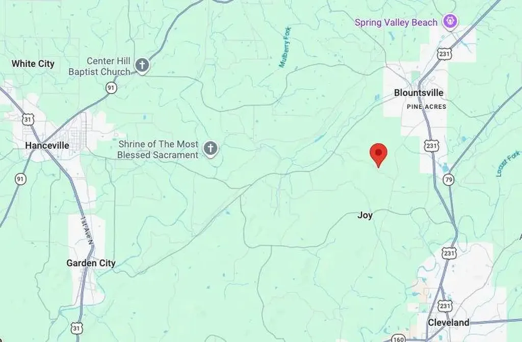 0 Johns Road Blountsville AL 35031
