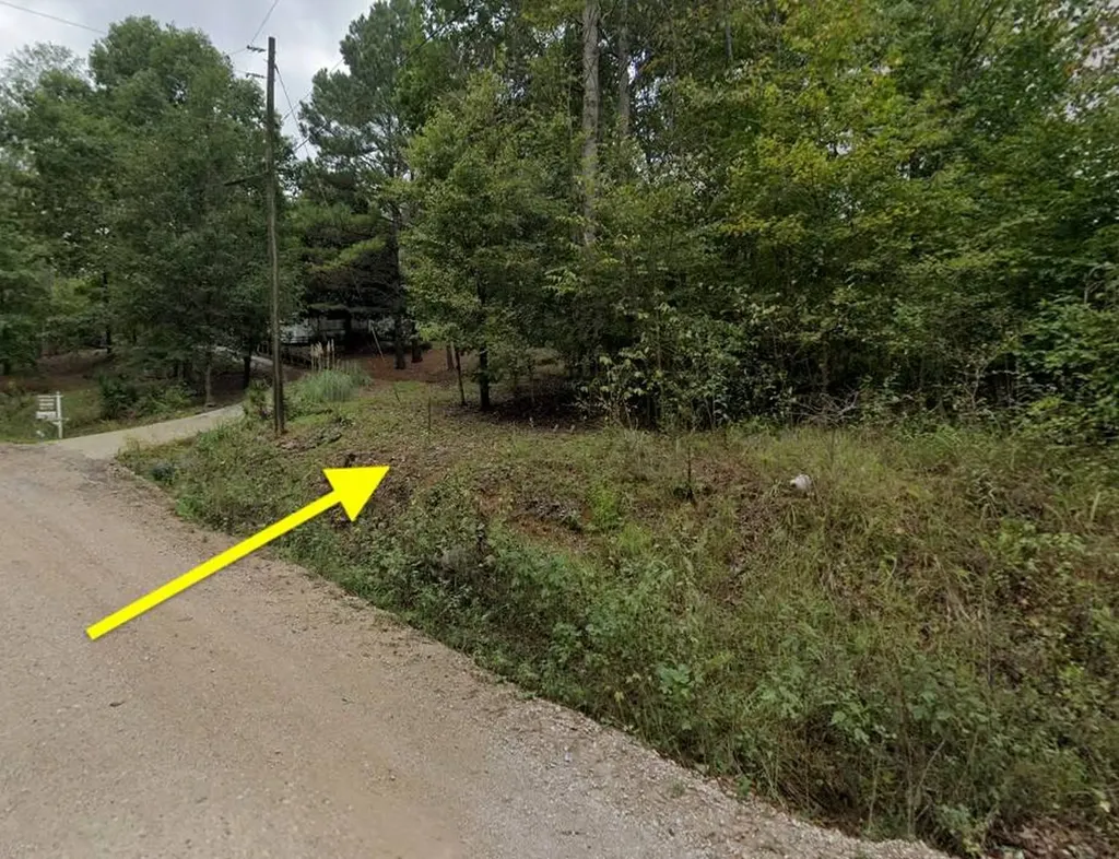 0 Johns Road Blountsville AL 35031
