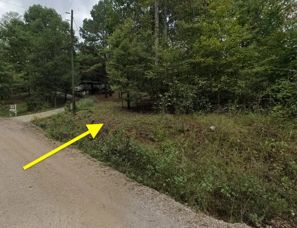 0 Johns Road Blountsville AL 35031