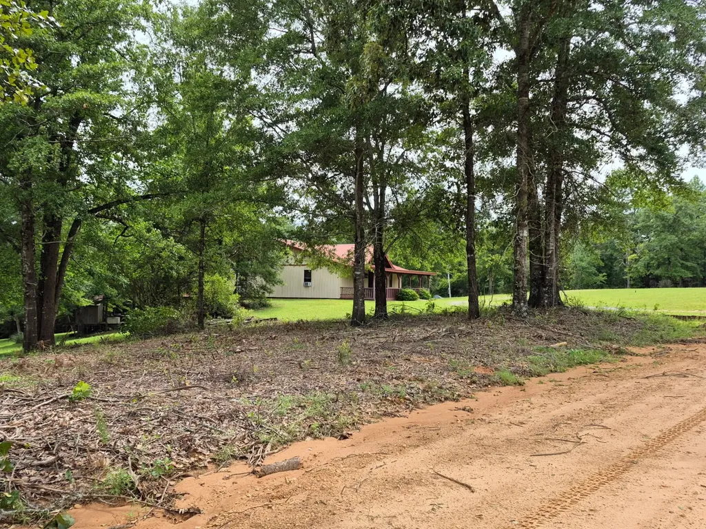 6993 County Road 334 Plantersville AL 36758