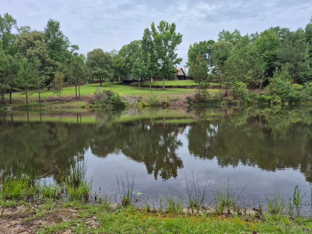 6993 County Road 334 Plantersville AL 36758