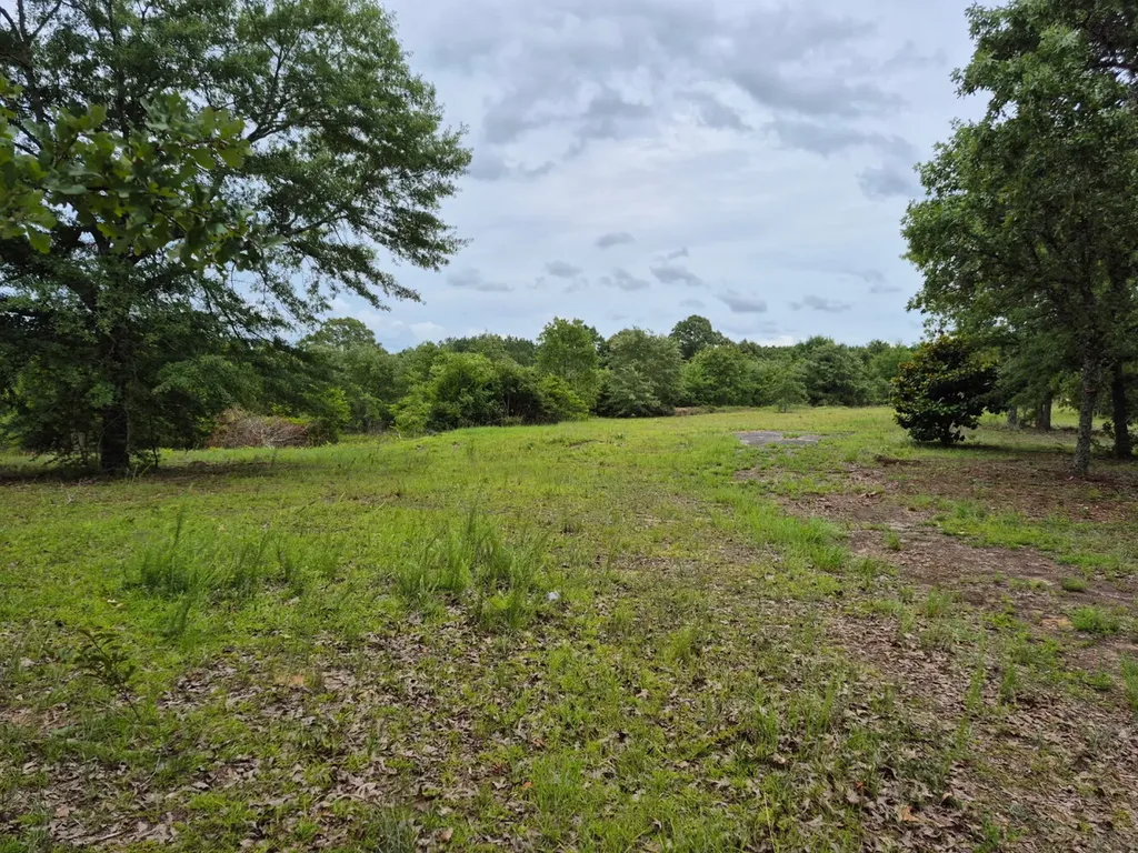 6993 County Road 334 Plantersville AL 36758