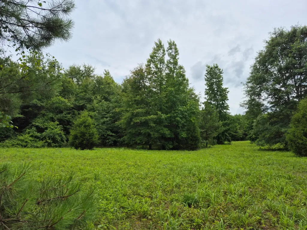 6993 County Road 334 Plantersville AL 36758