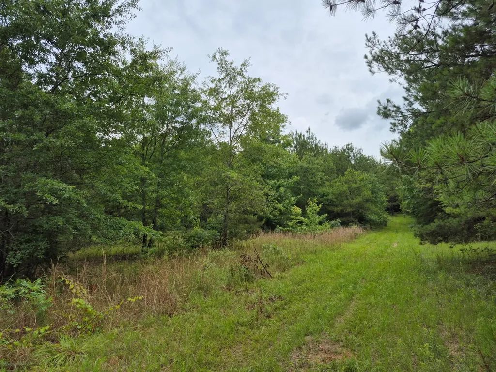 6993 County Road 334 Plantersville AL 36758