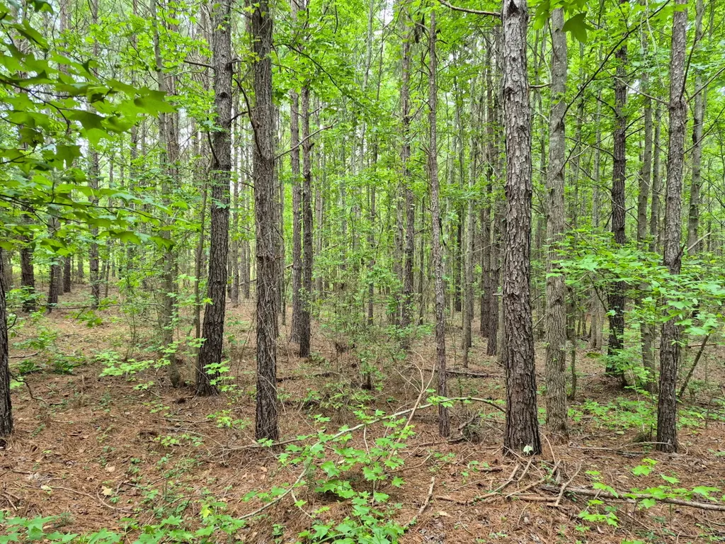 6993 County Road 334 Plantersville AL 36758
