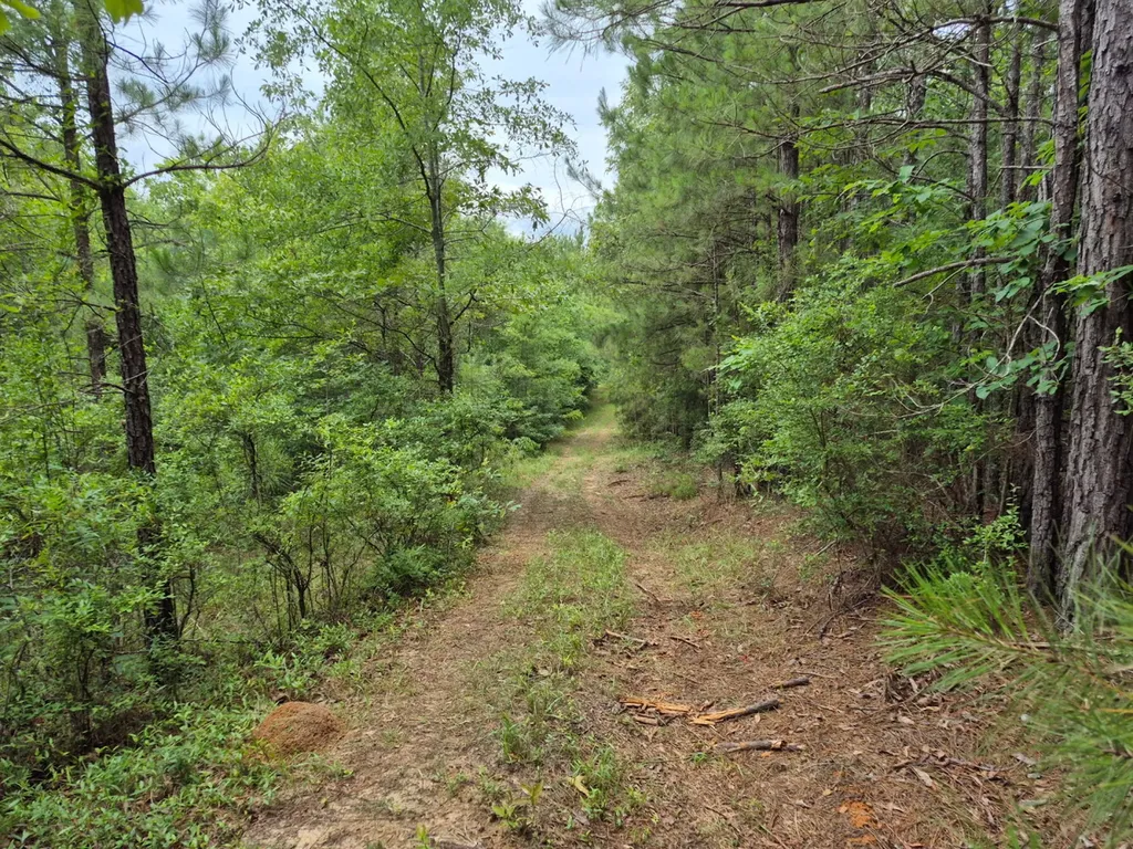 6993 County Road 334 Plantersville AL 36758
