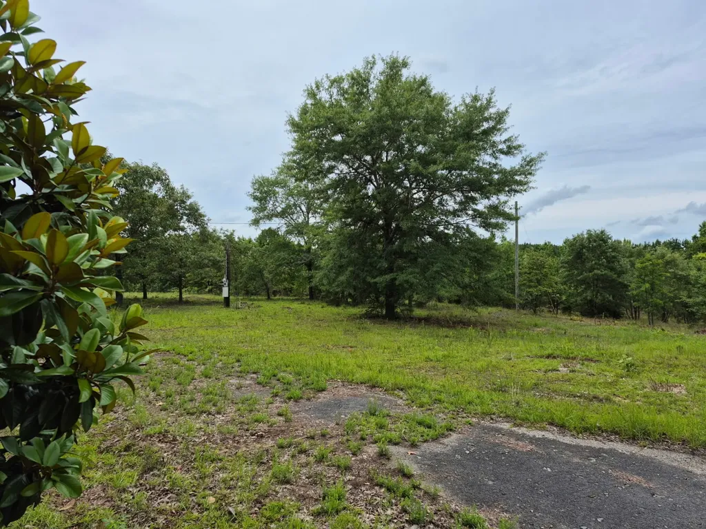 6993 County Road 334 Plantersville AL 36758