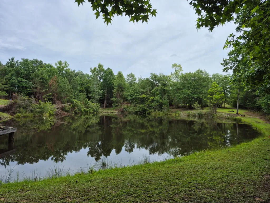 6993 County Road 334 Plantersville AL 36758