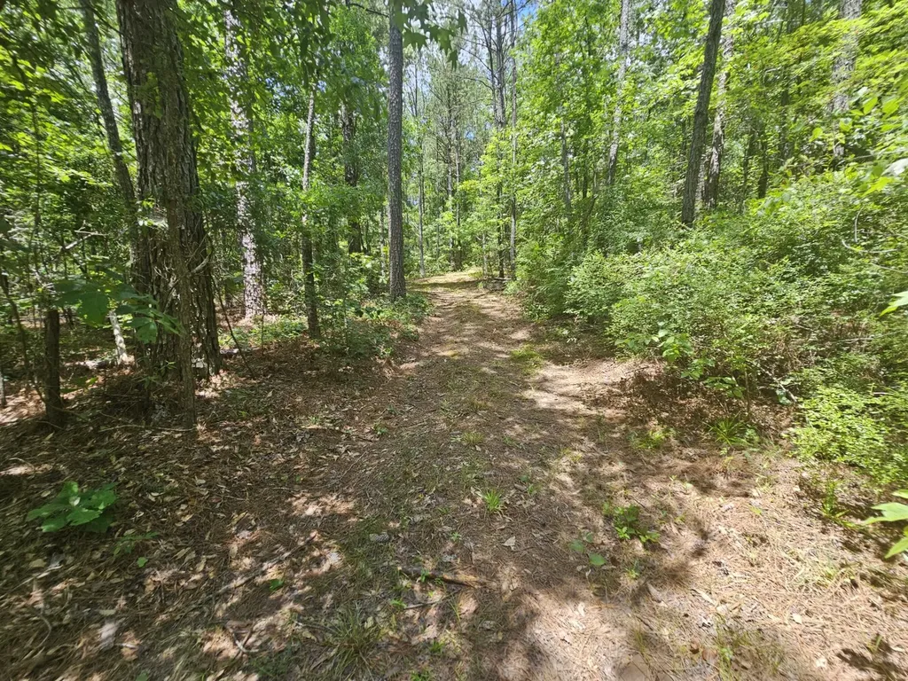 000Z Liberty Church Road Millport AL 35576