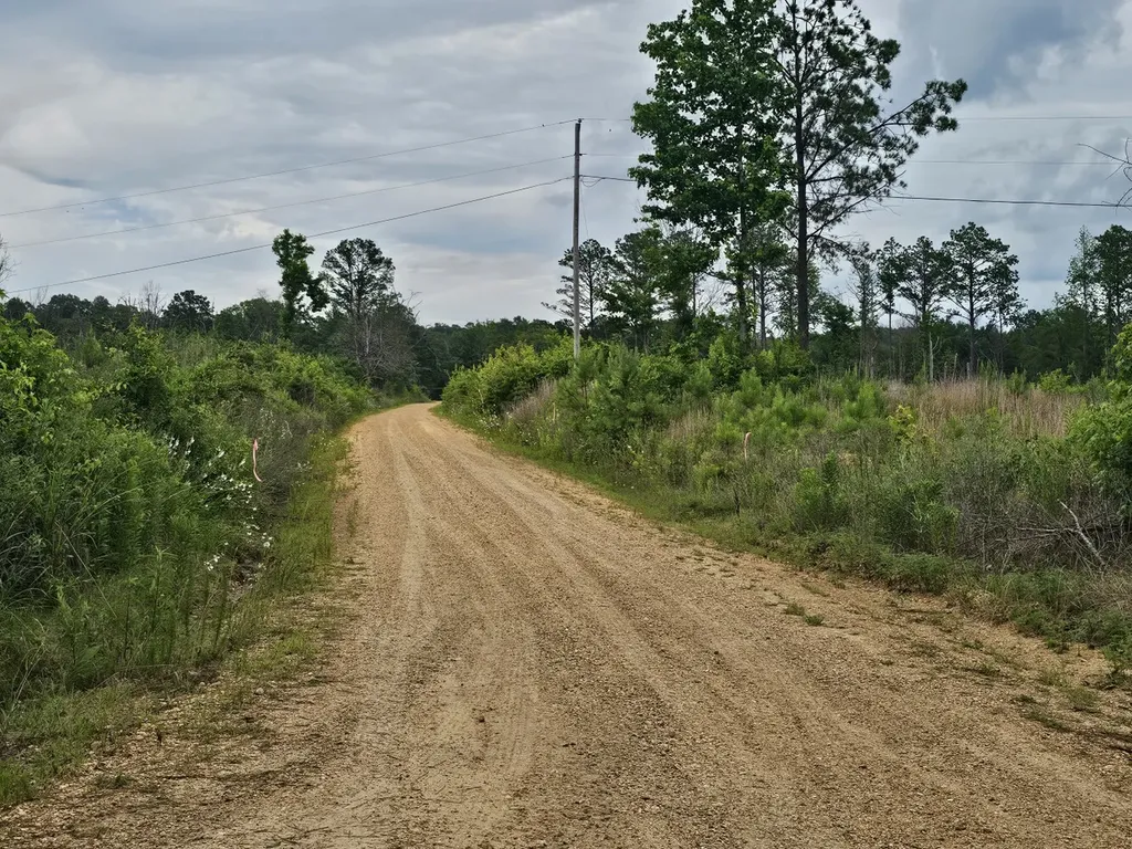 000Z Liberty Church Road Millport AL 35576