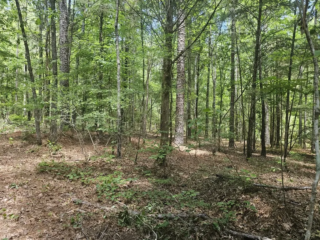 000Z Liberty Church Road Millport AL 35576