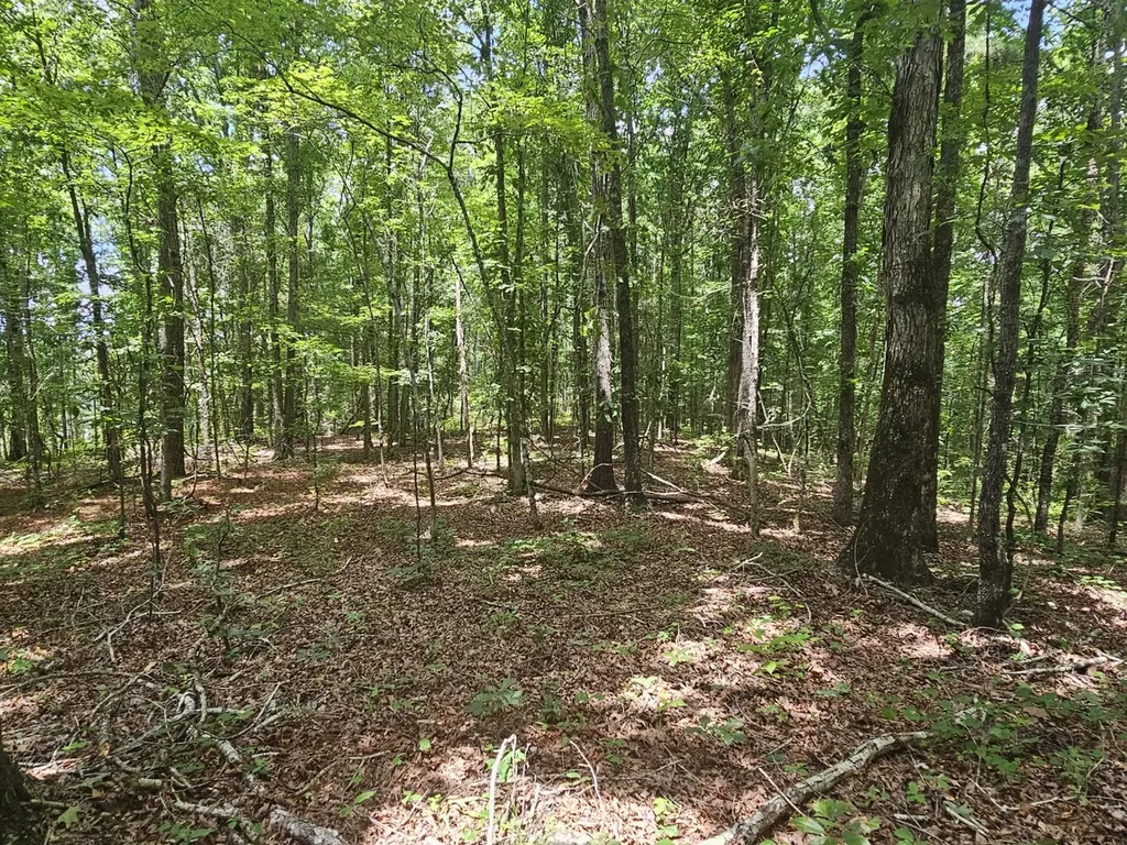000Z Liberty Church Road Millport AL 35576